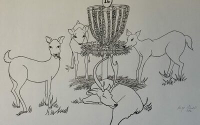 Disc Golf Illustration